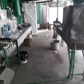 KAFE  MANGAL  ARENDA