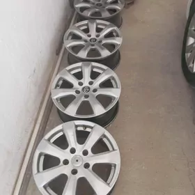 Dysga 16 RZ