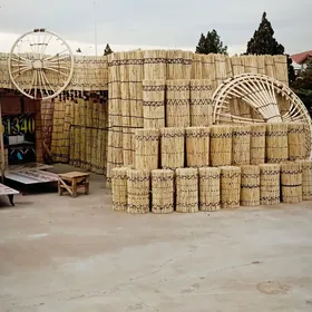 Gamyş AK öý gara öy