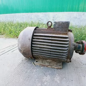 Elektro dwitil