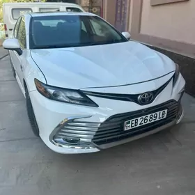 Toyota Camry 2019