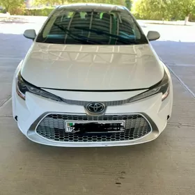 Toyota Corolla 2021