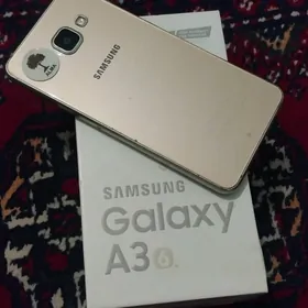a3 16 gyssagly