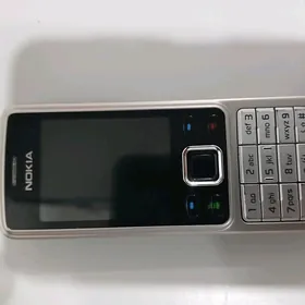6300