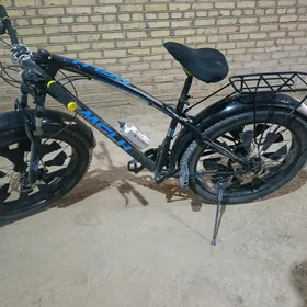 welsopit tigir