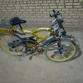 Welsopit tigir