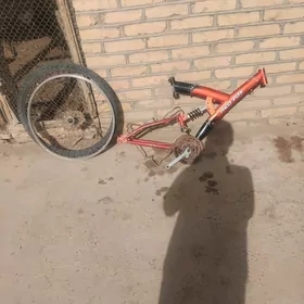 spartiwny welik 26lyl