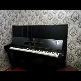 pionina