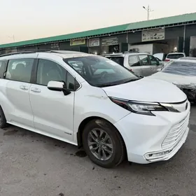 Toyota Sienna 2021
