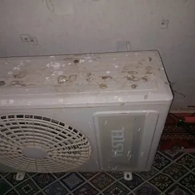 vestel 40 lyk
