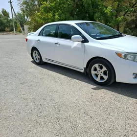 Toyota Corolla 2010