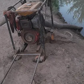 suw nasos