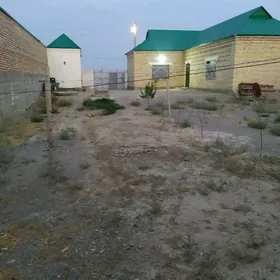 baherden sarlyk plon