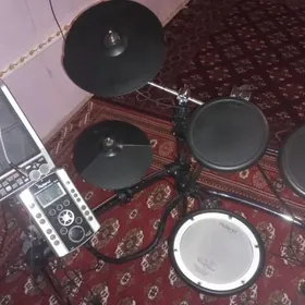 Roland td9