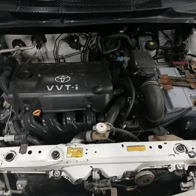 Toyota Echo 2000