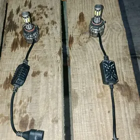 led cyra