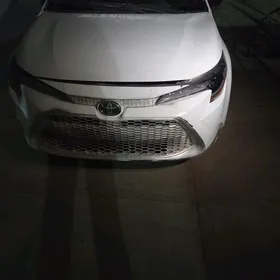 Toyota Corolla 2021