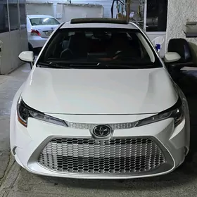 Toyota Corolla 2021
