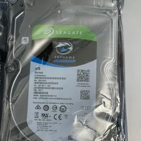 4tb zhostki disk