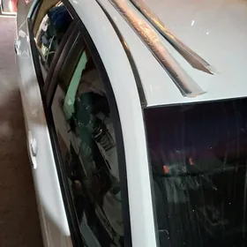 Corolla krisa REZIN öküz kelle