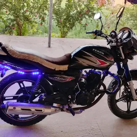 Fekon FK150-8G 2014
