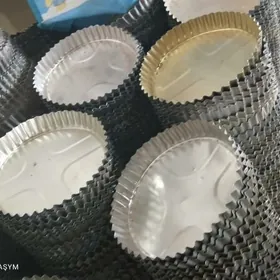 fitci bişiryan galyp