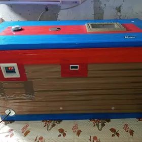 инкубатор inkubator