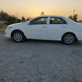 Toyota Corolla 2010