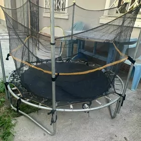 батут