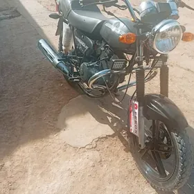 Fekon FK150-8G 2019