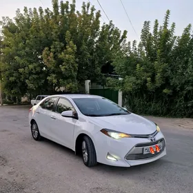 Toyota Corolla 2016