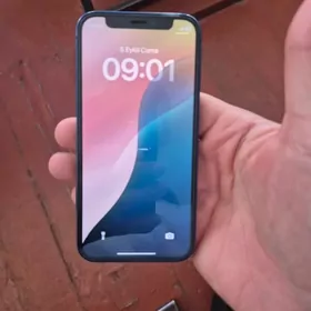 iPhone 12 mini