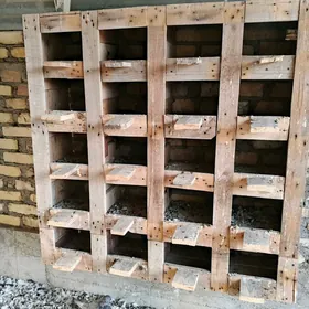 Keperi un gnizdi