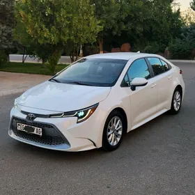 Toyota Corolla 2020