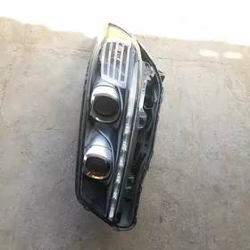 kia fara cep tarap