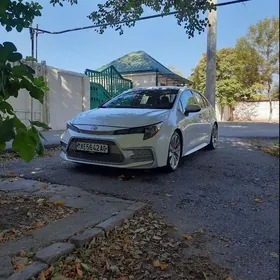 Toyota Corolla 2021
