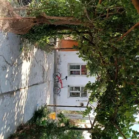 Gres, Miçurin daça