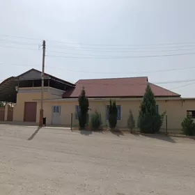 Satlyk nebitcide 10 kv