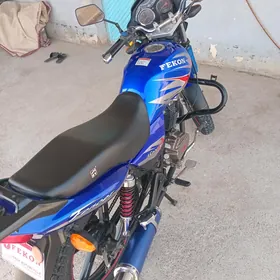 Fekon FK150-8G 2014