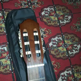 Gitara C40
