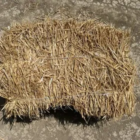 Bugdaý Samany