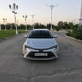 Toyota Corolla 2019