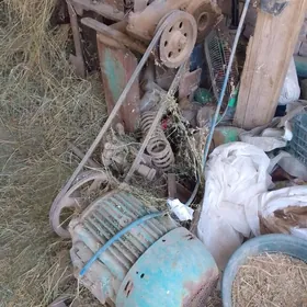 generator diwizok