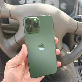 iPhone 13 pro.max