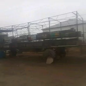 Бал ары пирсеп  Bal ary pirsep