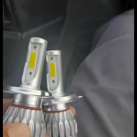 led dalny bližni