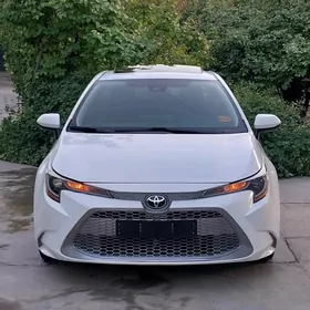 Toyota Corolla 2021
