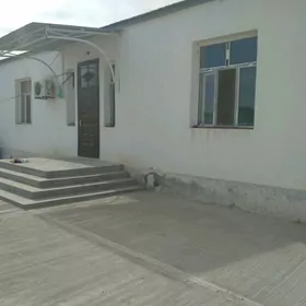 Gokdepe jay