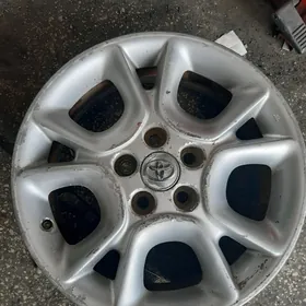 Sienna disga 17