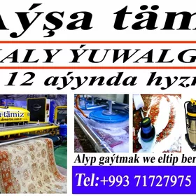 Aýşa tämiz haly himchistka